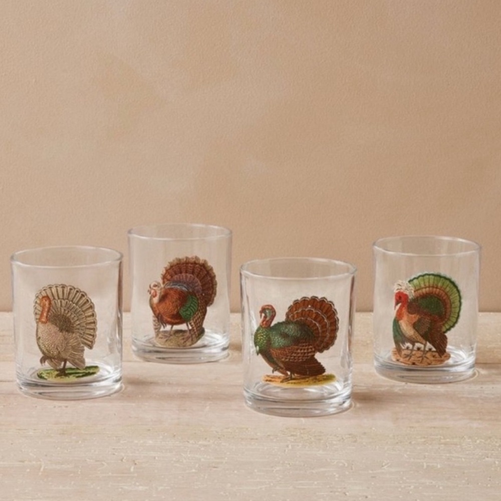 JOHN DERIAN 2023 NWT 4pc turkey cocktail glasses